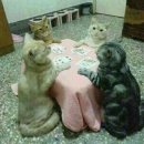 묵고가