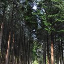 작은도서관 소풍 이미지