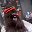 Purple hair(퍼플헤어)