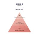 프리지아A | 시로 프리지아 미스트 오 드 퍼퓸 깨끗하고 화사한 꽃향기