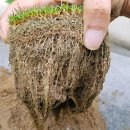 홍원바이오아그로 이미지