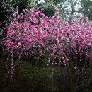 신사역 5번출구 앞 횡단보도 이미지