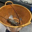 유일안 | 나트랑 해산물 맛집 빈산 내돈내산 후기