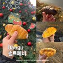 경신중학교 | 대구 빵지순례 명란 소금빵 맛집 솔트에버 범어동 디저트 카페 포장 후기