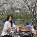 배꽃가든 | 나주 한수제 벚꽃 맛집 금성산가든 솔직후기