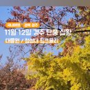 와이컬렉션 by 언바운디 경주 이미지