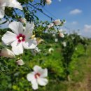 크로바목장 이미지