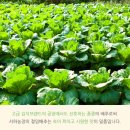 서하농장