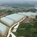 경영농장 이미지