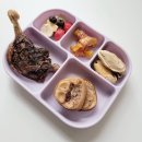 네발라이프 이미지