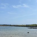 당케올레국수 | 제주 당케올레국수 맛집 추천 메뉴 후기 주차정보