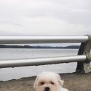 웅도민박 이미지