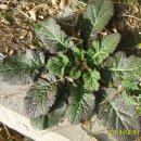 여남초등학교 이미지