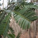 명사초등학교 이미지