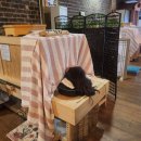 훈증힐링 이미지