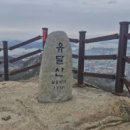 유달산 티스토리