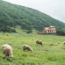 정감목장 이미지