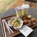 연리희재 이미지