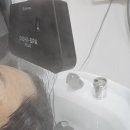 플로리아헤어 이미지