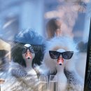 계림촌 | 아이와 가족과 먹기 좋은 경주 황리단길 신상 맛집, 계림촌