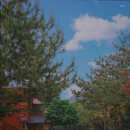 오색연가 이미지