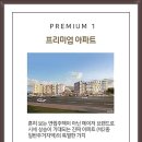 미켈란디자인 이미지