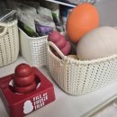 TOY # | 강아지 노즈워크 콩장난감 프리즈트레이 KONG TOY 사용 후기