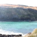 성공렌트카 이미지