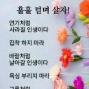 훌훌털며살자 이미지