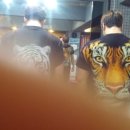 가젤휘트니스 이미지