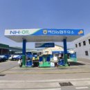 벽진농업협동조합주유소 티스토리