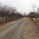 나무고아원 이미지