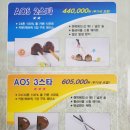 아오스파크골프 이미지