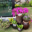 하이네펜션 이미지