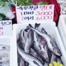 생선집 이미지