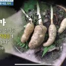 자라난 약초 티스토리
