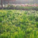 호호공인중개사사무소 이미지