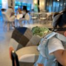 젤마씨 | 제주 공항 근처 이색 디저트 포장 추천 젤라또 맛집 노형동 젤마씨