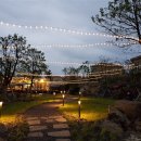 뮤직리조트 이미지