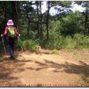 목상초등학교 이미지