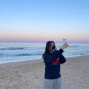 갤러리밥스 이미지