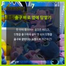 탑인형뽑기 이미지