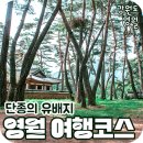 강원특별자치도 영월군 영월읍사무소 | 단종의 유배지 영월 여행코스 고씨굴, 청령포, 영월장릉, 선돌, 한반도지형, 맛집 정보