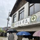 [속초 청초호뷰 카페] 애견동반 가능한 칠성조선소(주차정보/ 멍푸치노 후기)