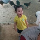 행구농장 이미지