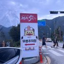 강원도여행 정선아리랑시장 정선5일장 주차 먹거리