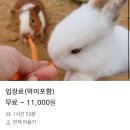 생각이 무럭무럭 | [경기/용인] 무럭무럭농장_아기랑 가기 좋은 곳 추천