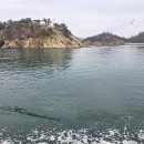 농협중앙회군산시지부 | 🌊 한기협서울시지부 임원들과 함께한 군산·선유도 신시도 1박 3식 여행 후기