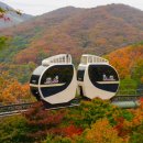 노단할머니경로당 | 곤지암 화담숲 단풍 예약 방법, NOL 과 함께 완벽한 가을여행 추천!