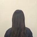 세븐헤어월드 - 하남시 | 세븐헤어월드